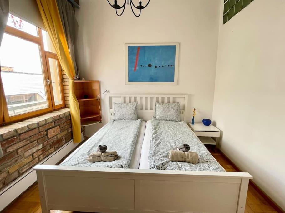 Apartament R9 Free Parking Garage Budapesta